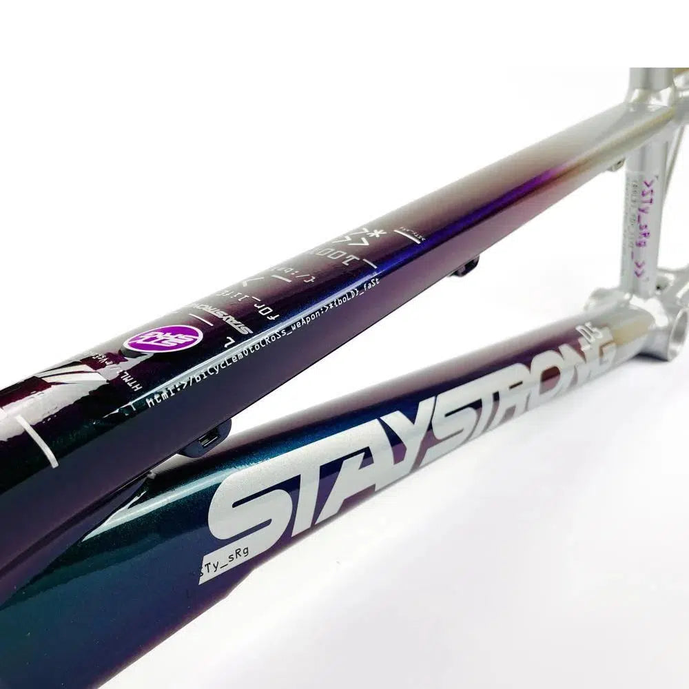 Close-up view of the Staystrong V5 Disc Junior Frame with the brand name "Stay Strong" proudly displayed in bold white letters against a gradient color finish, complete with a sleek disc brake system.