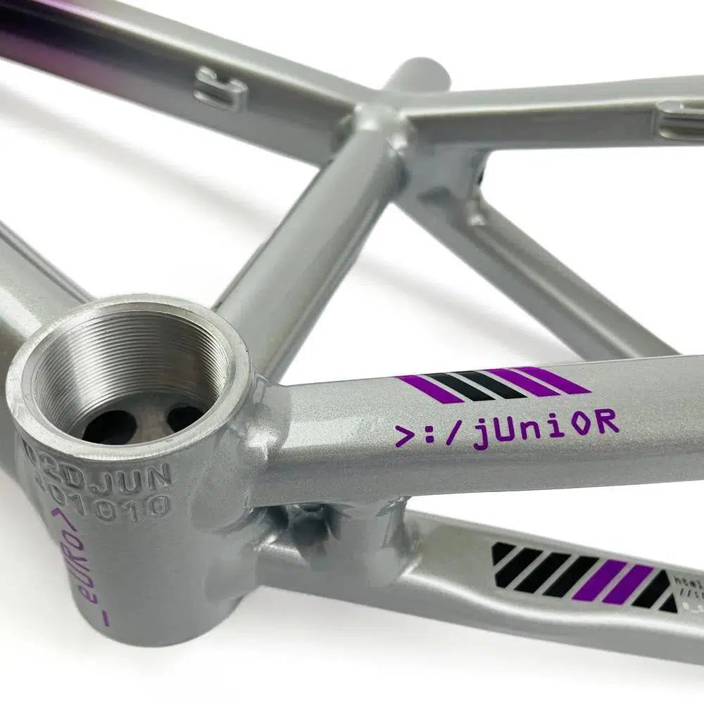 Close-up of an aluminium race frame with purple and black accents, featuring the text "Staystrong V5 Disc Junior Frame" and geometric pattern decals. The bicycle is equipped with a disc brake system.