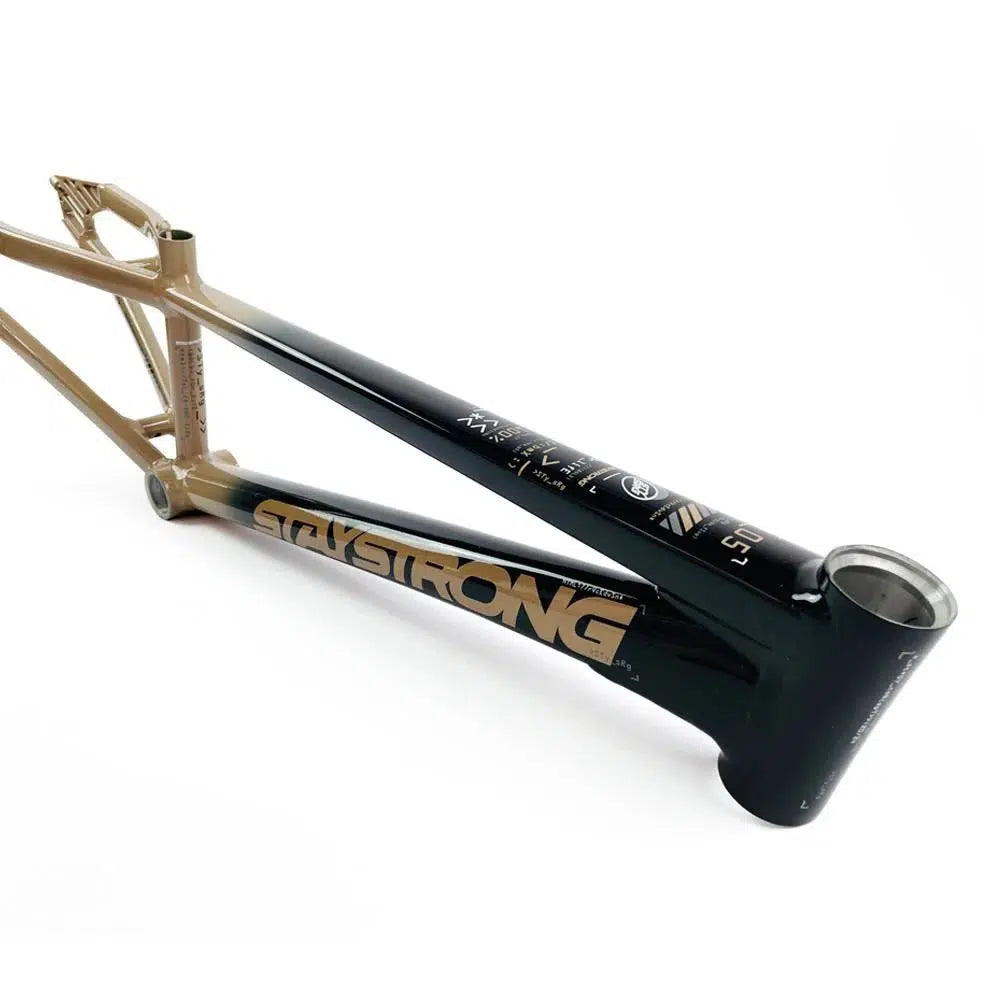 This image shows a close-up view of the aluminium race frame on the Staystrong V5 Disc Expert Frame, featuring a two-tone black and gold design with "STAYSTRONG" prominently displayed on the lower tube. Made from durable 6061 alloy tubing, this frame combines strength and style seamlessly.