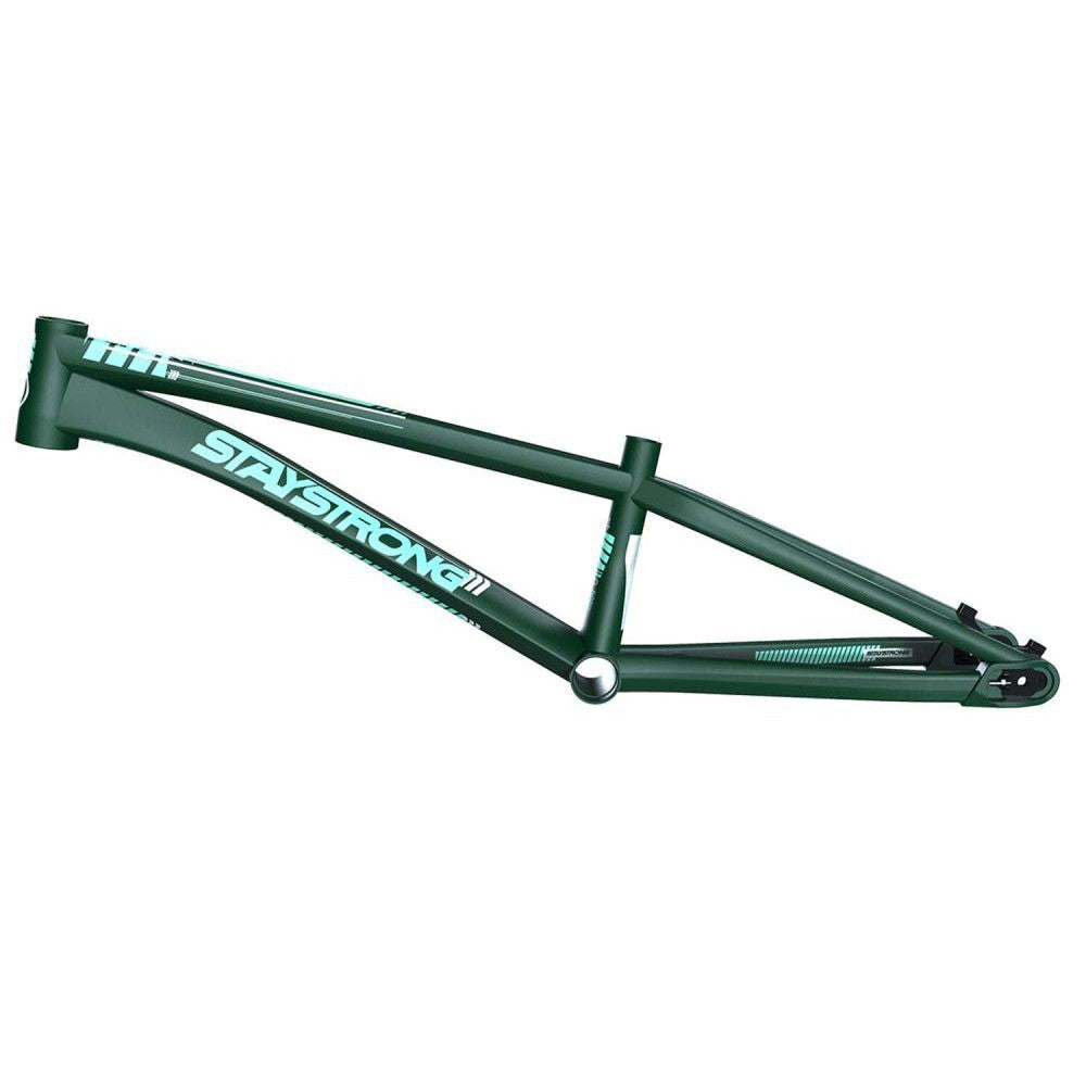 Stay Strong For Life V4 Pro XL Race Frame Disc Version Green 21.25TT