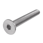 The Avian Versus Stainless Steel Fork Bolt is a silver hex socket head cap screw with a threaded shaft and a flat, circular head, photographed against a white background.