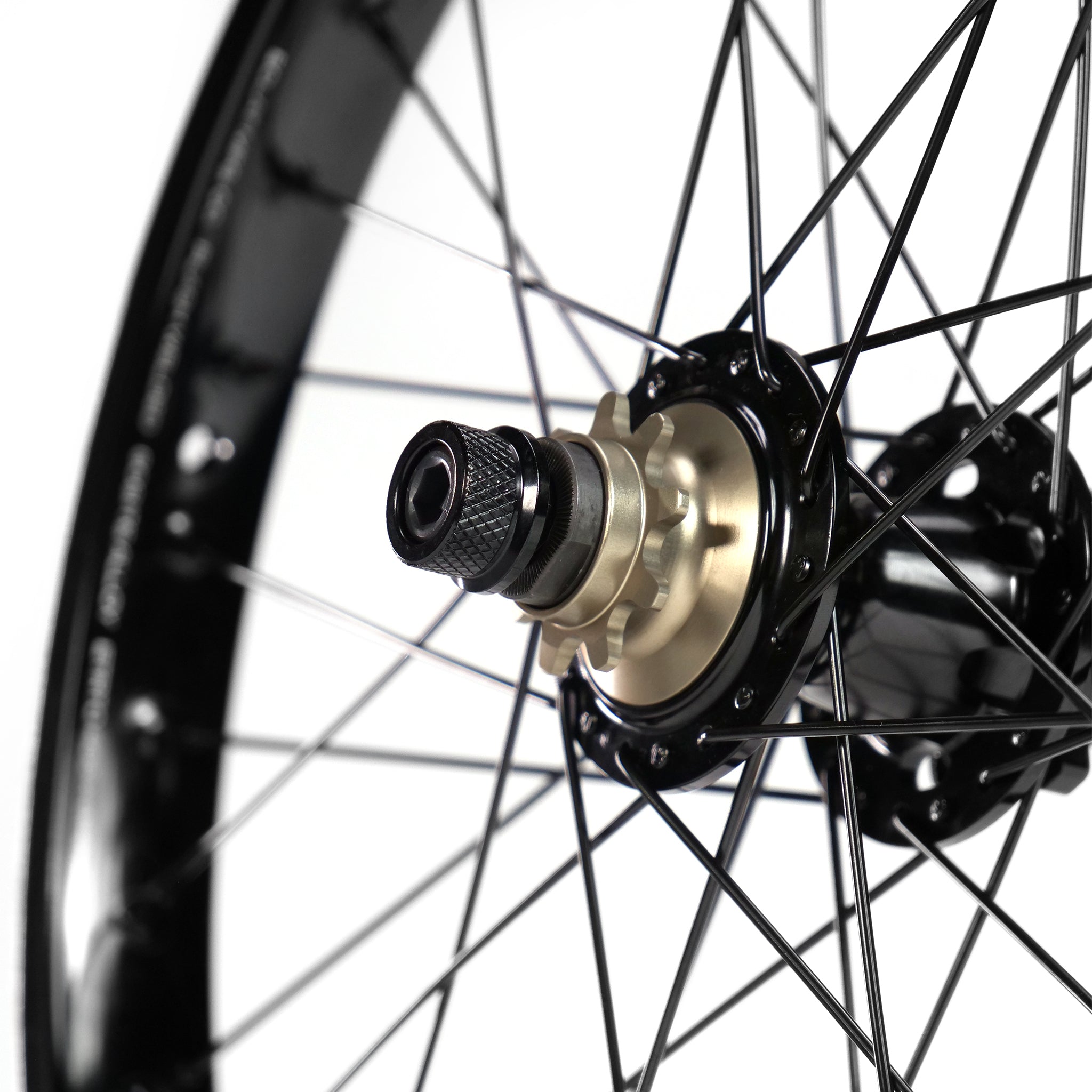 Close-up of an Eclat Locater / Exile Rear Wheel with black spokes, a cog, and a hub featuring a disc brake rotor mount, set against a white background.