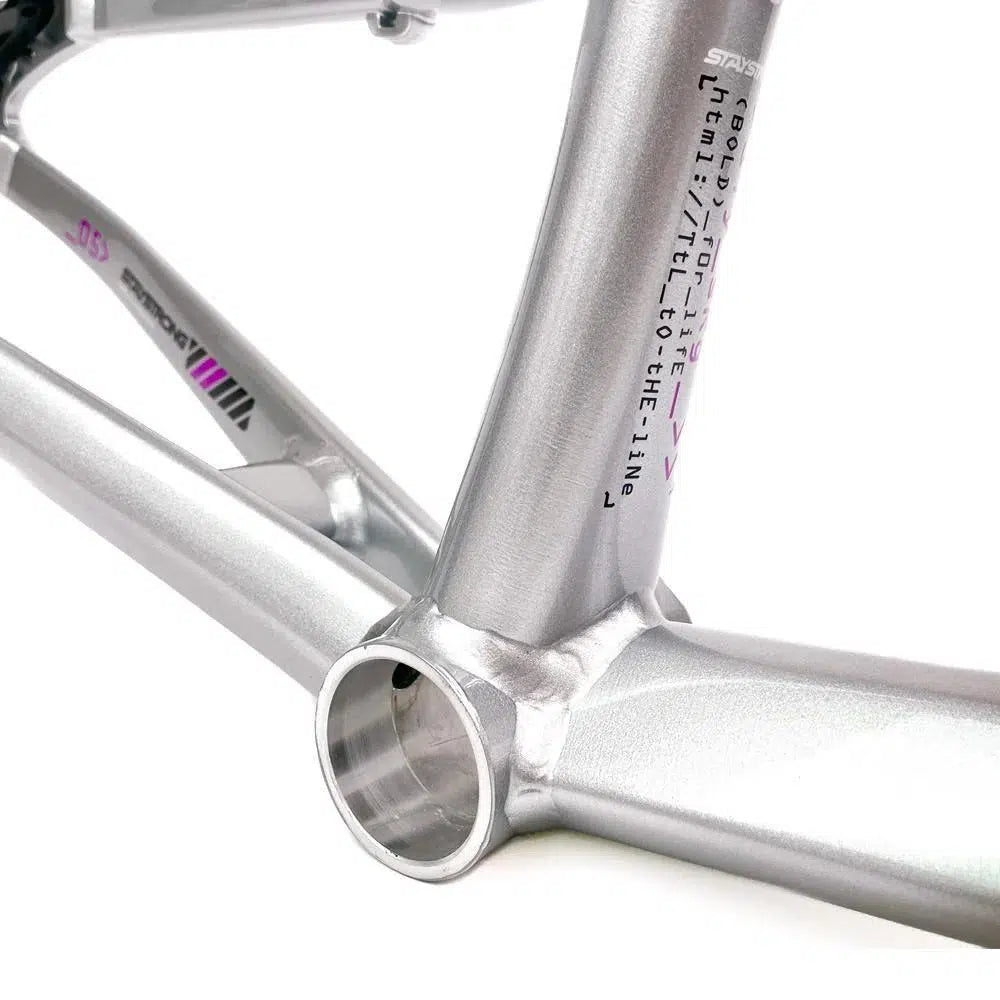 Close-up image of a silver Staystrong V5 Disc Pro XXXL Frame, focusing on the bottom bracket area, showcasing clean welds and metal tubing.