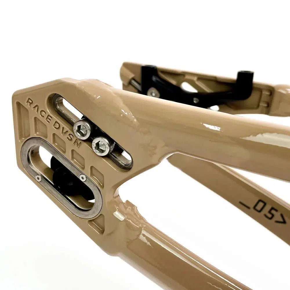 Close-up view of a beige aluminium Staystrong V5 Disc Pro XXL Frame with the label "RACEDVSN" and adjustable dropouts, crafted from 6061 alloy tubing.