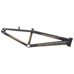 Image of a matte black Speedco 2024 M2 Expert Cruiser Frame with gold accents, featuring the brand name "SPEEDCO" in large gold letters on the lower tube, designed to accommodate both V-brakes and disc brakes.